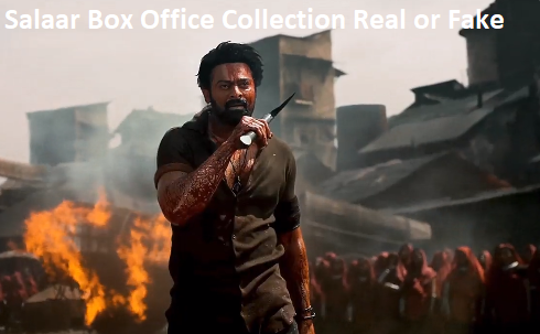 Salaar Box Office Collection Real or Fake