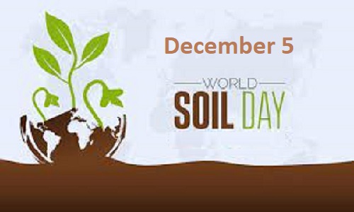 World Soil day